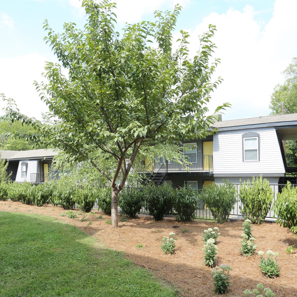 Beautiful lawns at Clifton Ridge Apartments in Louisville, Kentucky