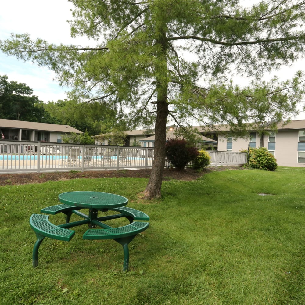Picnic bench and grassy lawn for pets at Willowbrook Apartments in Louisville, Kentucky