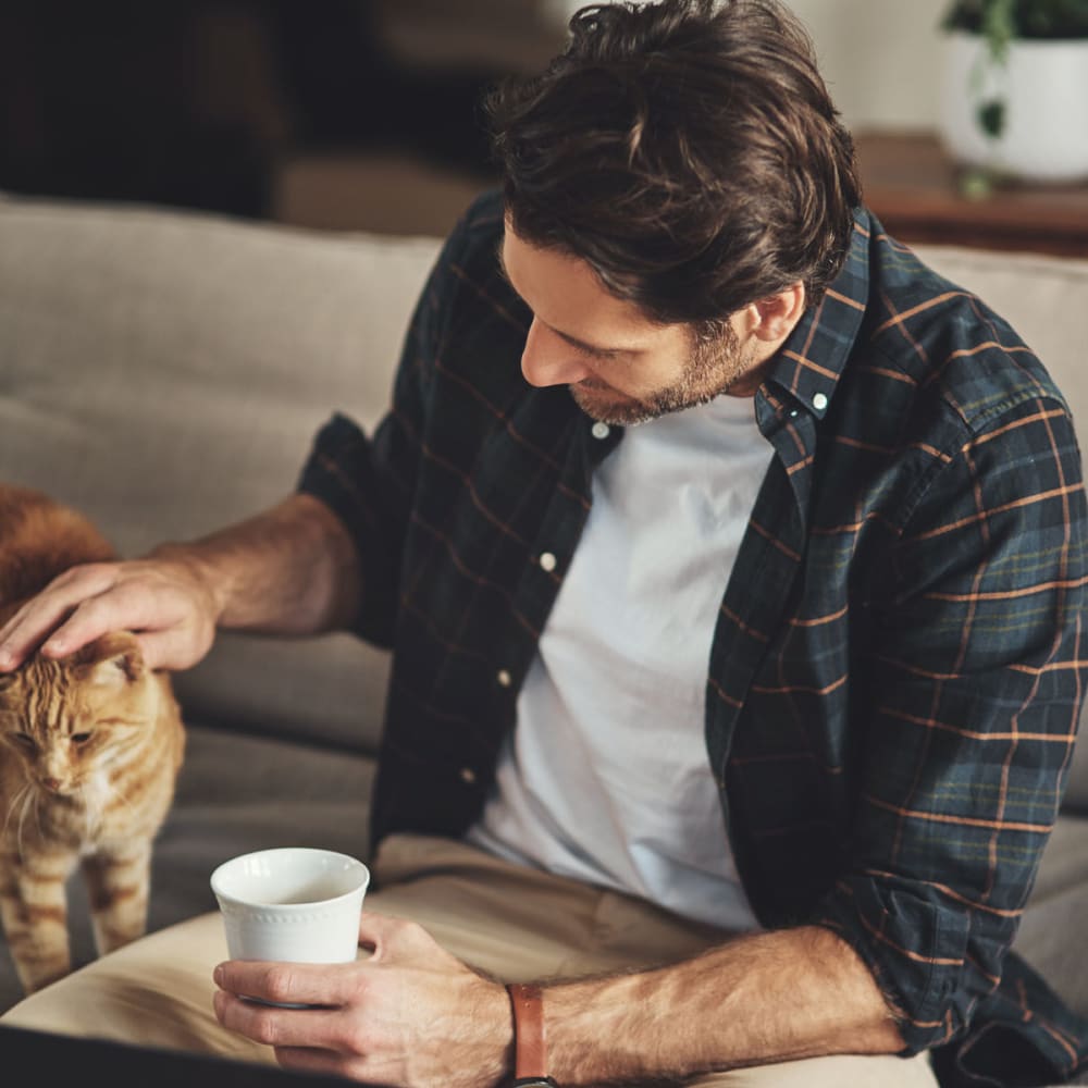 Happy cat getting some love from her owner in their apartment home at Oaks 5th Street Crossing at City Station in Garland, Texas