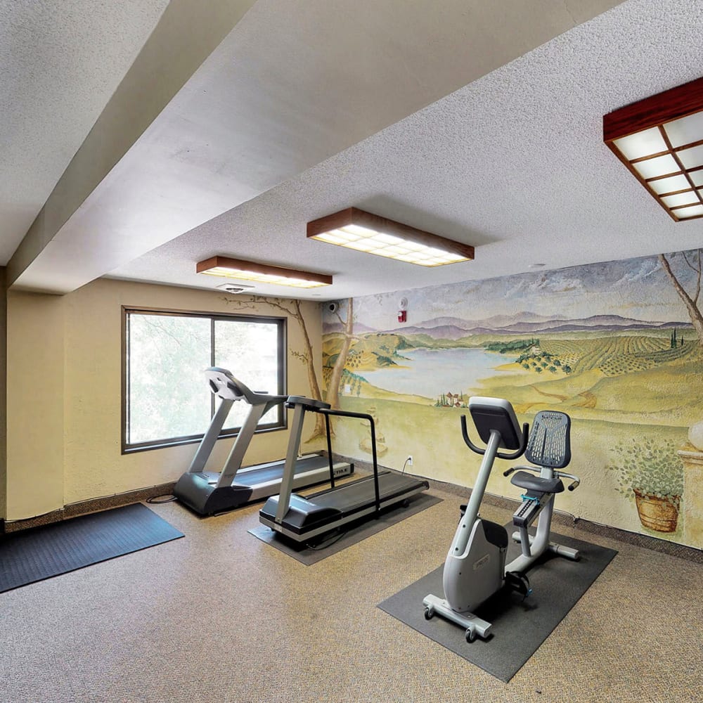 Cardio equipment in the fitness center at Oaks Braemar in Edina, Minnesota