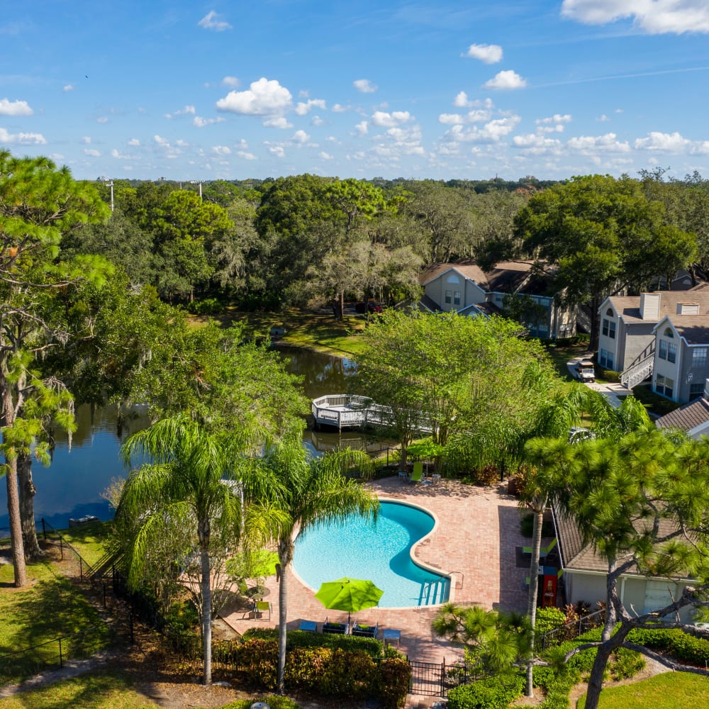 An aerial view of the swimming pool at Avenue @Creekbridge in Brandon, Florida