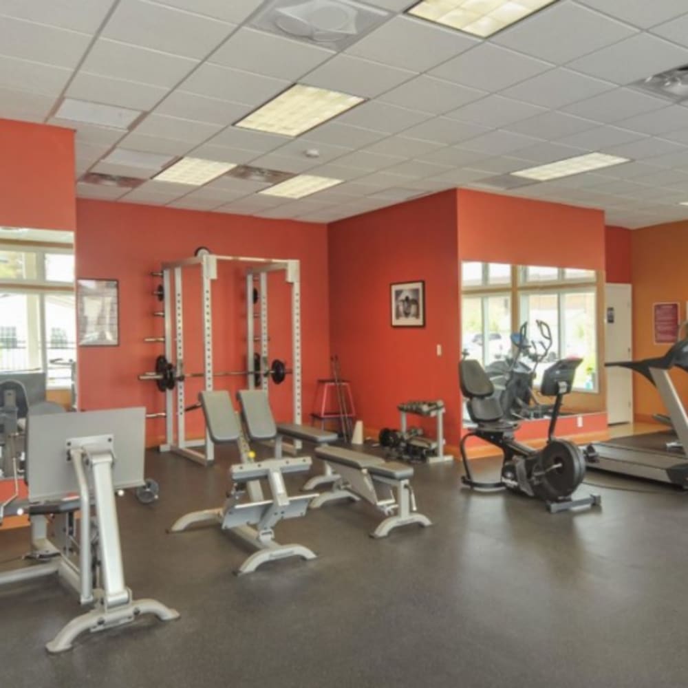 A fitness center with lots of natural lighting at Tanglewood Apartments in Louisville, Kentucky