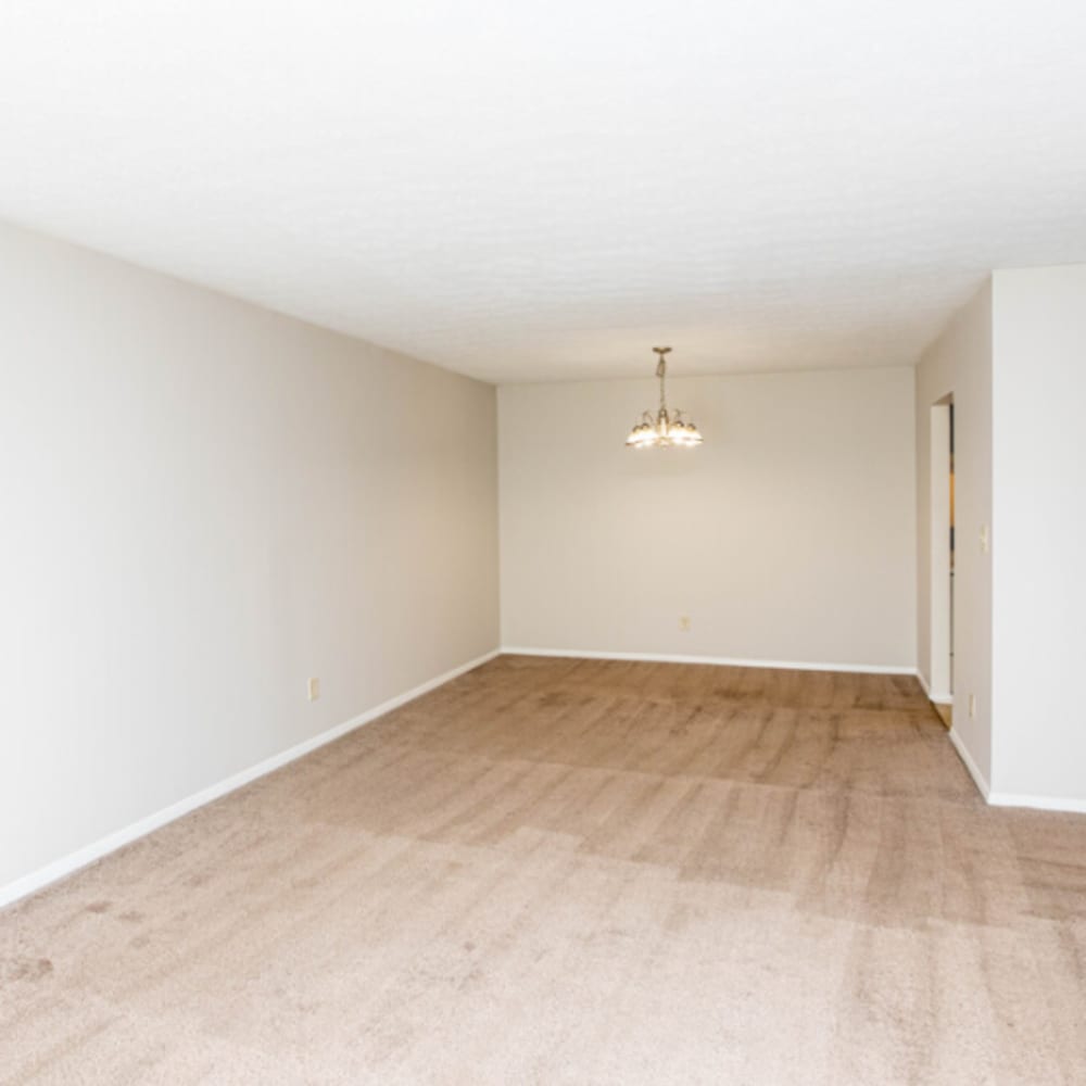 A large living room with plush carpeting at Tanglewood Apartments in Louisville, Kentucky