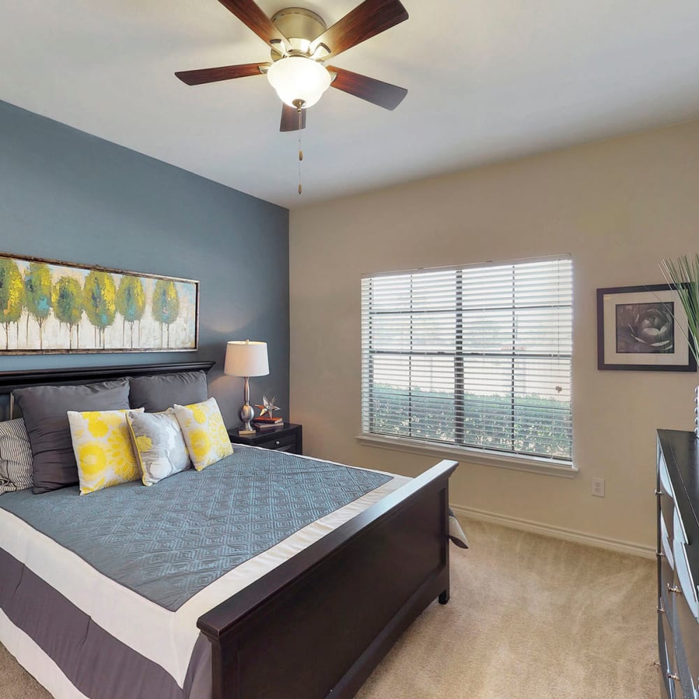 Model apartment's primary bedroom with a ceiling fan and an accent wall at Oaks Riverchase in Coppell, Texas