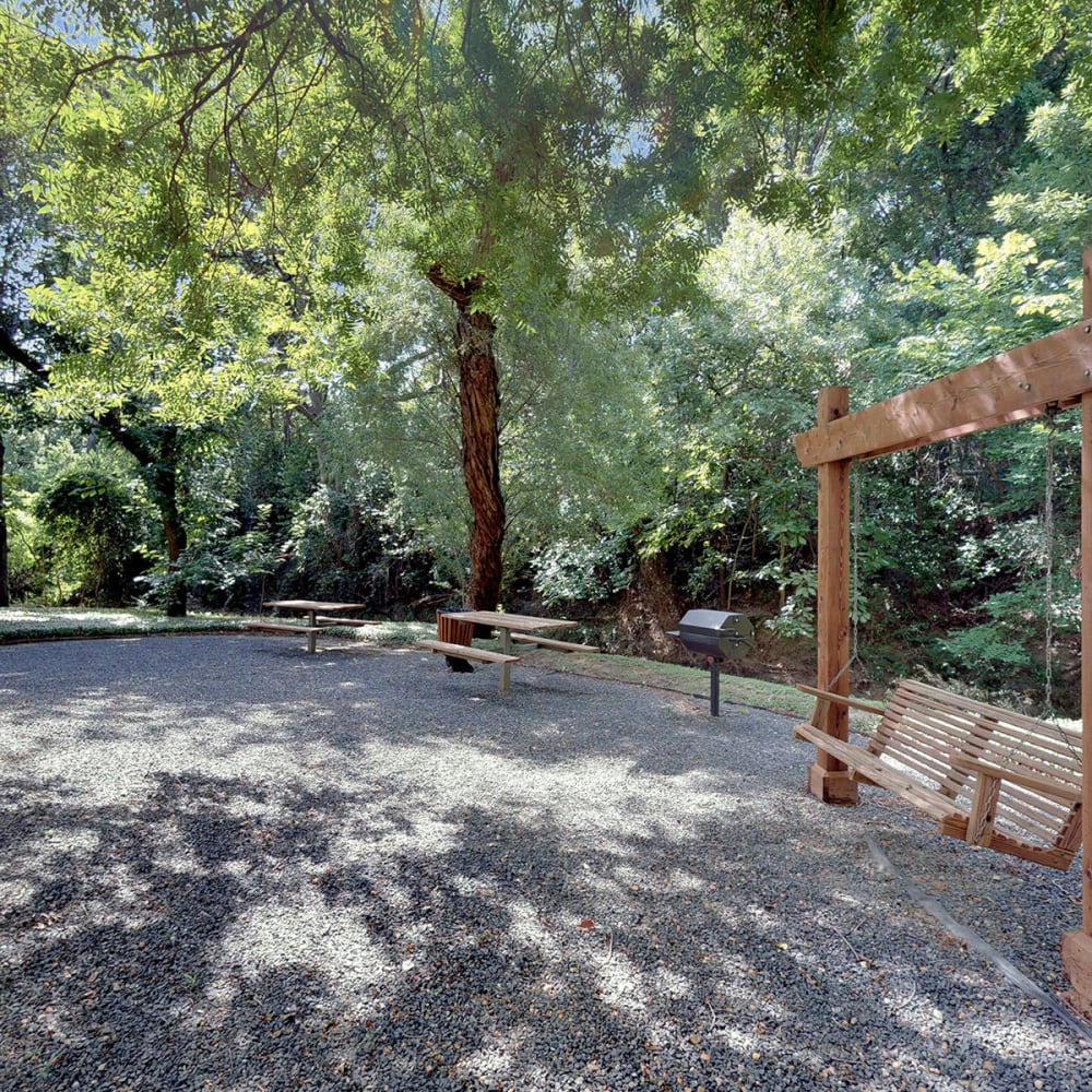 Trees providing ample shade at the barbecue grill area at Oaks White Rock in Dallas, Texas  