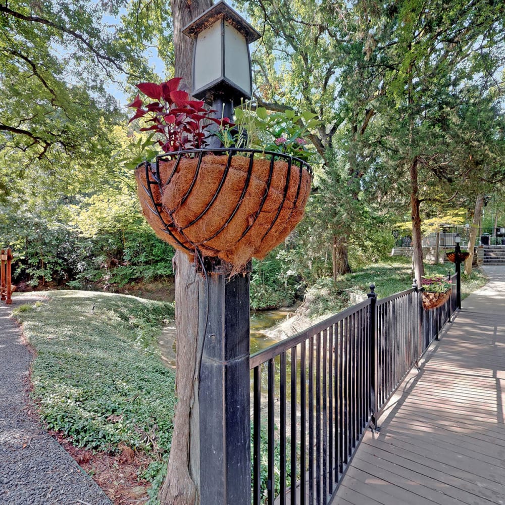 Pathways through the tree-lined community at Oaks White Rock in Dallas, Texas