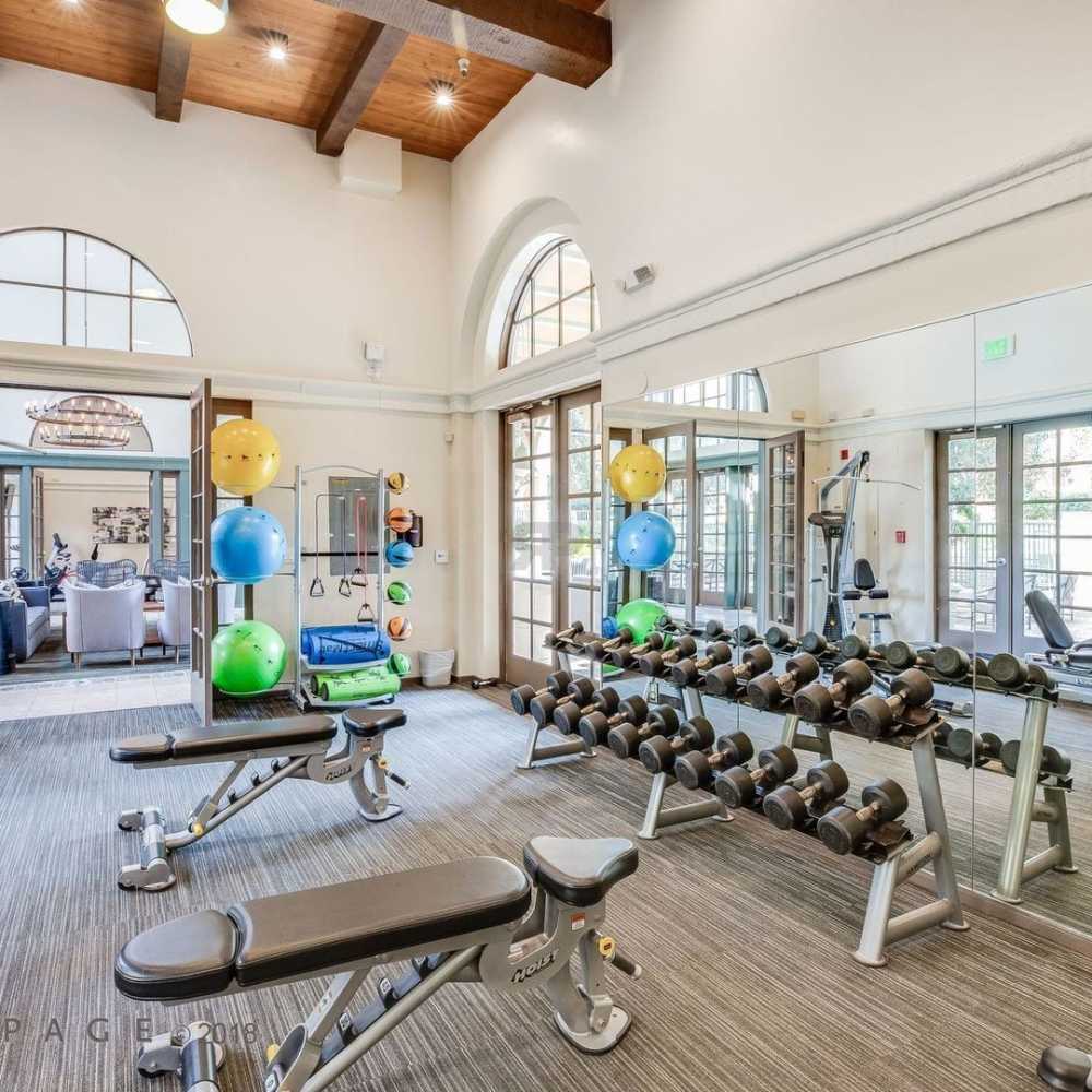 Fitness center with free-weights Villa Torino in San Jose, California