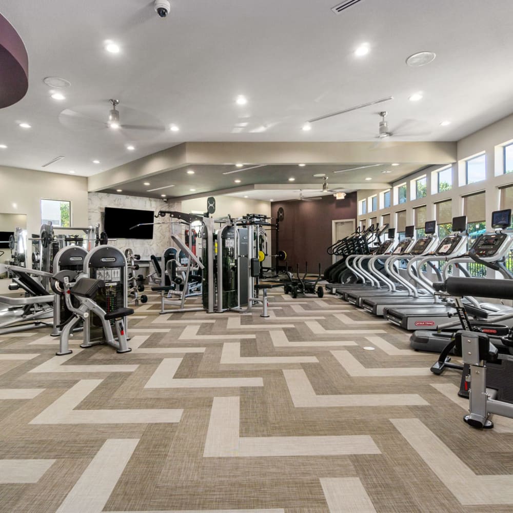 Fitness amenity round up at Discovery at Kingwood in Kingwood, Texas