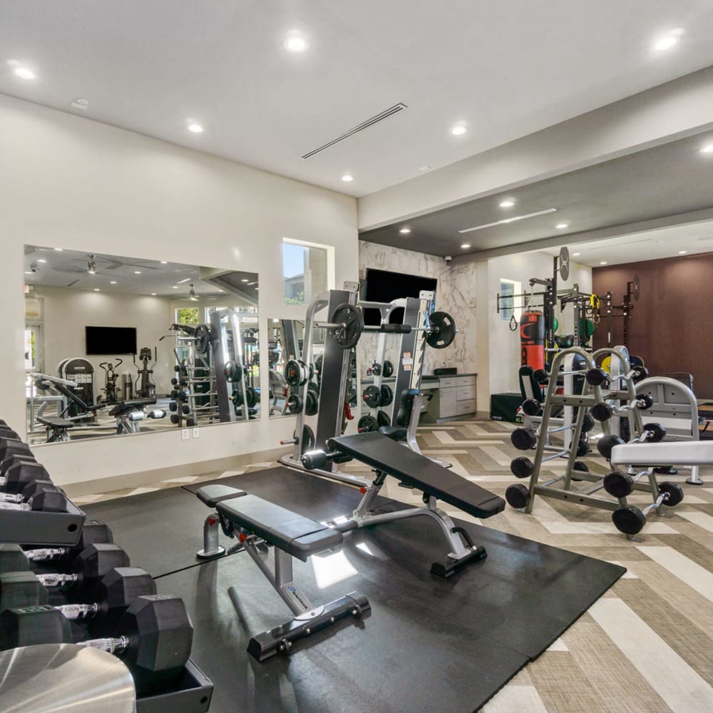 Fitness center at Discovery at Kingwood in Kingwood, Texas