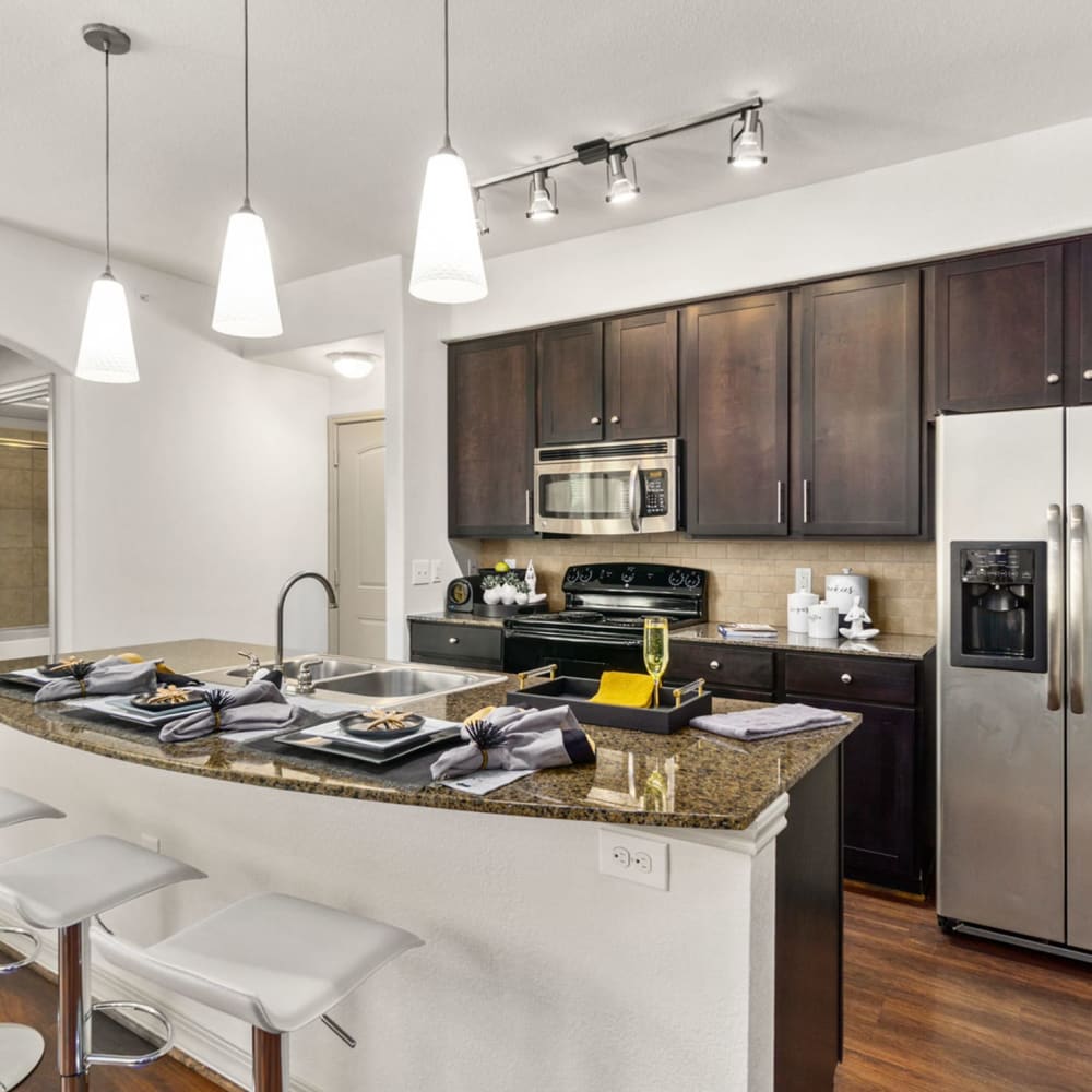 Gourmet style kitchen at Discovery at Kingwood in Kingwood, Texas