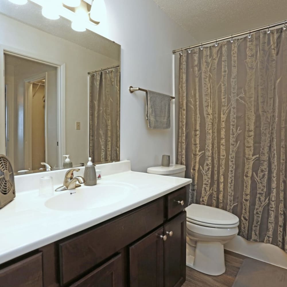Bathroom at Spring Creek Townhomes in Springfield, Illinois