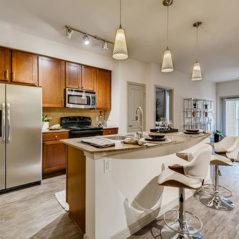 Gourmet style kitchen at Discovery at Craig Ranch in McKinney, Texas