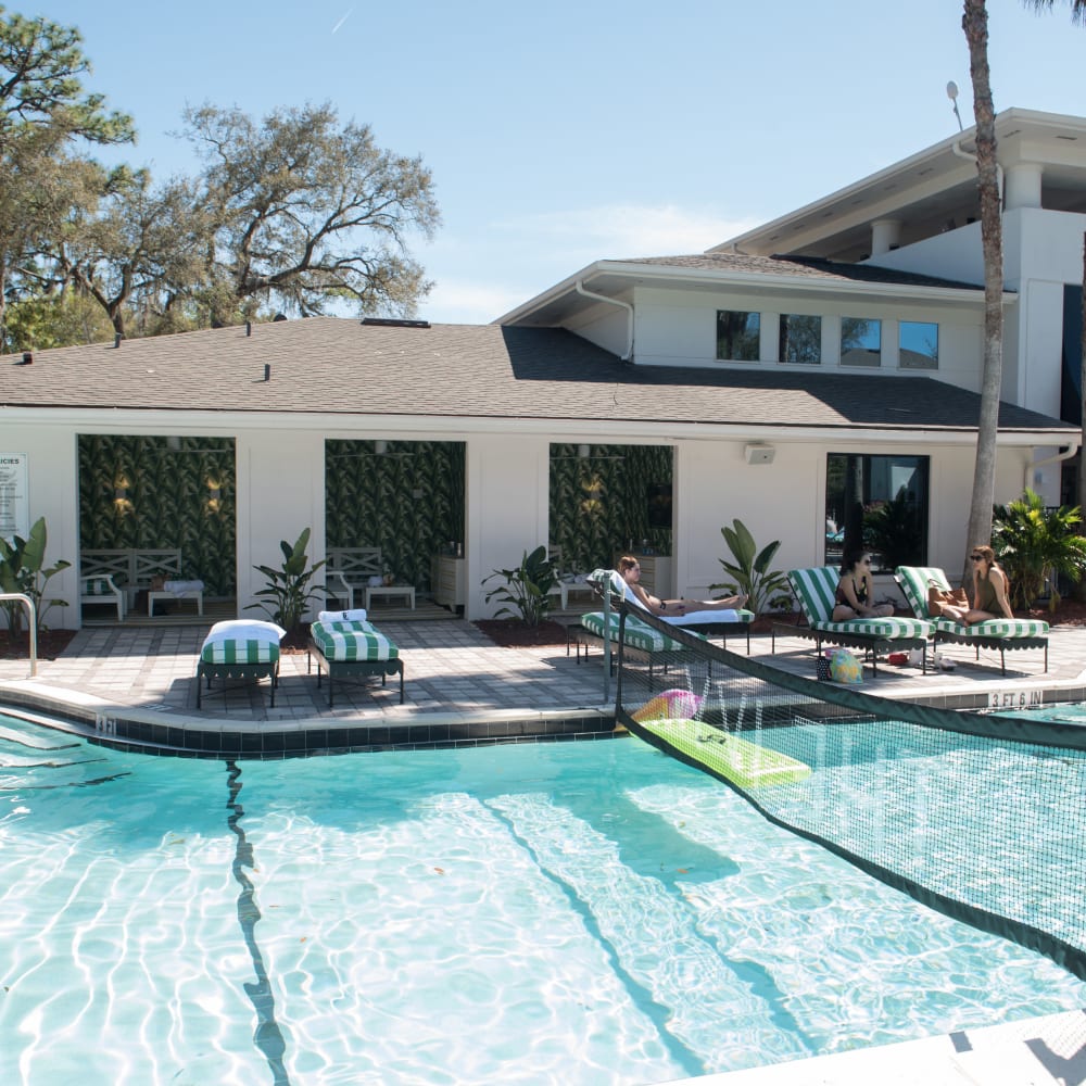 Resort style swimming pool on a gorgeous day at The Ivy in Tampa, Florida