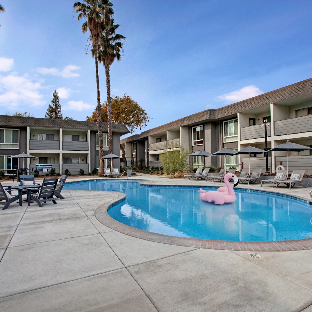 Luxury Pool at River Blu in Sacramento, California
