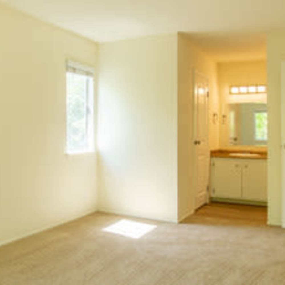 Plush carpeting and an en suite bathroom in a model apartment's primary bedroom at Mission Rock at Novato in Novato, California