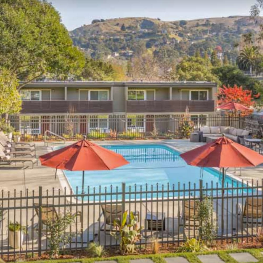 Swimming pool and sundeck at our Parc Marin community at Mission Rock at San Rafael in San Rafael, California
