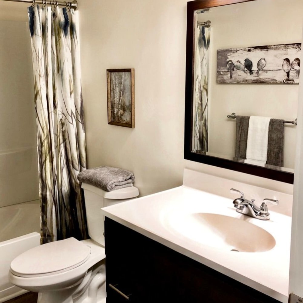 a tidy bathroom at Brookside Village Apartments in Virginia Beach, Virginia