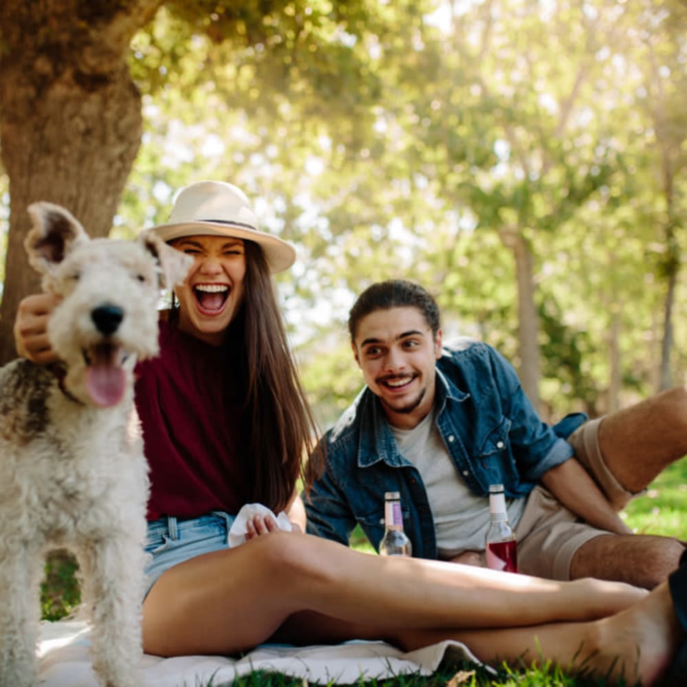 Couple having a picnic outdoors at Bellrock La Frontera in Austin, Texas