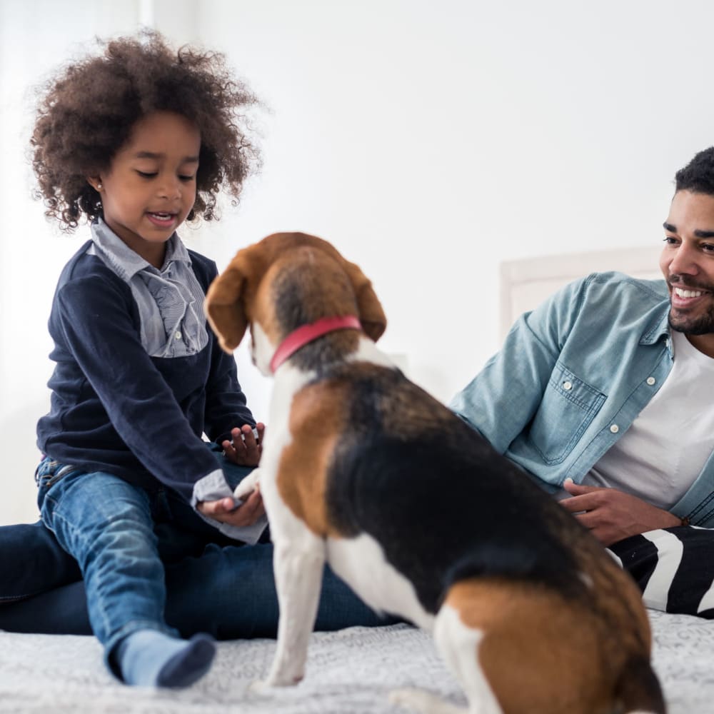 A kid playing with his dog at Butternut Ridge Apartments in North Olmsted, Ohio