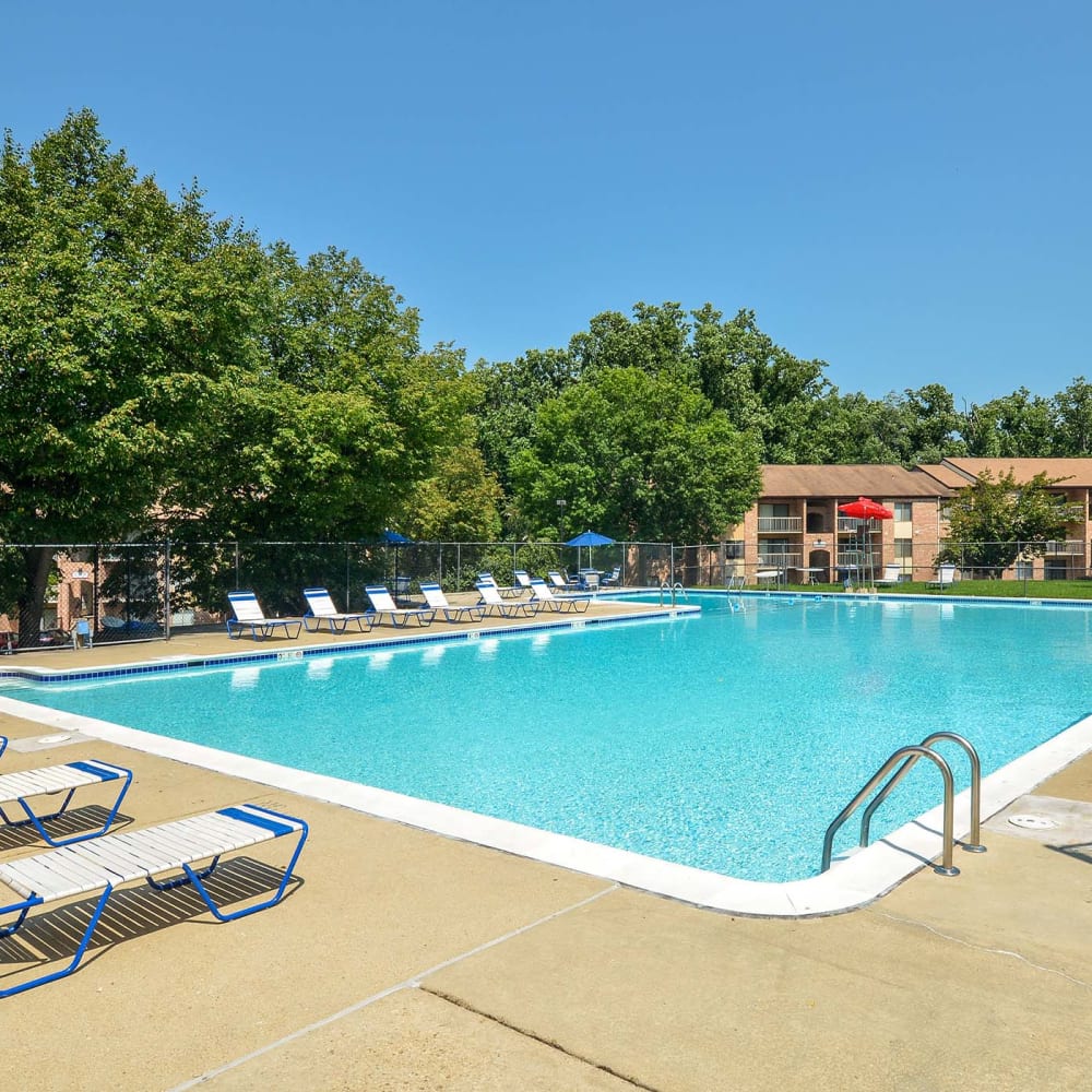 View Amenities at The Flats at Columbia Pike, Silver Spring, Maryland