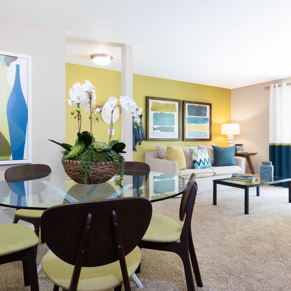 Spacious and modern open-concept floor plan with plush carpeting in a model home at Madison Sammamish Apartments in Sammamish, Washington