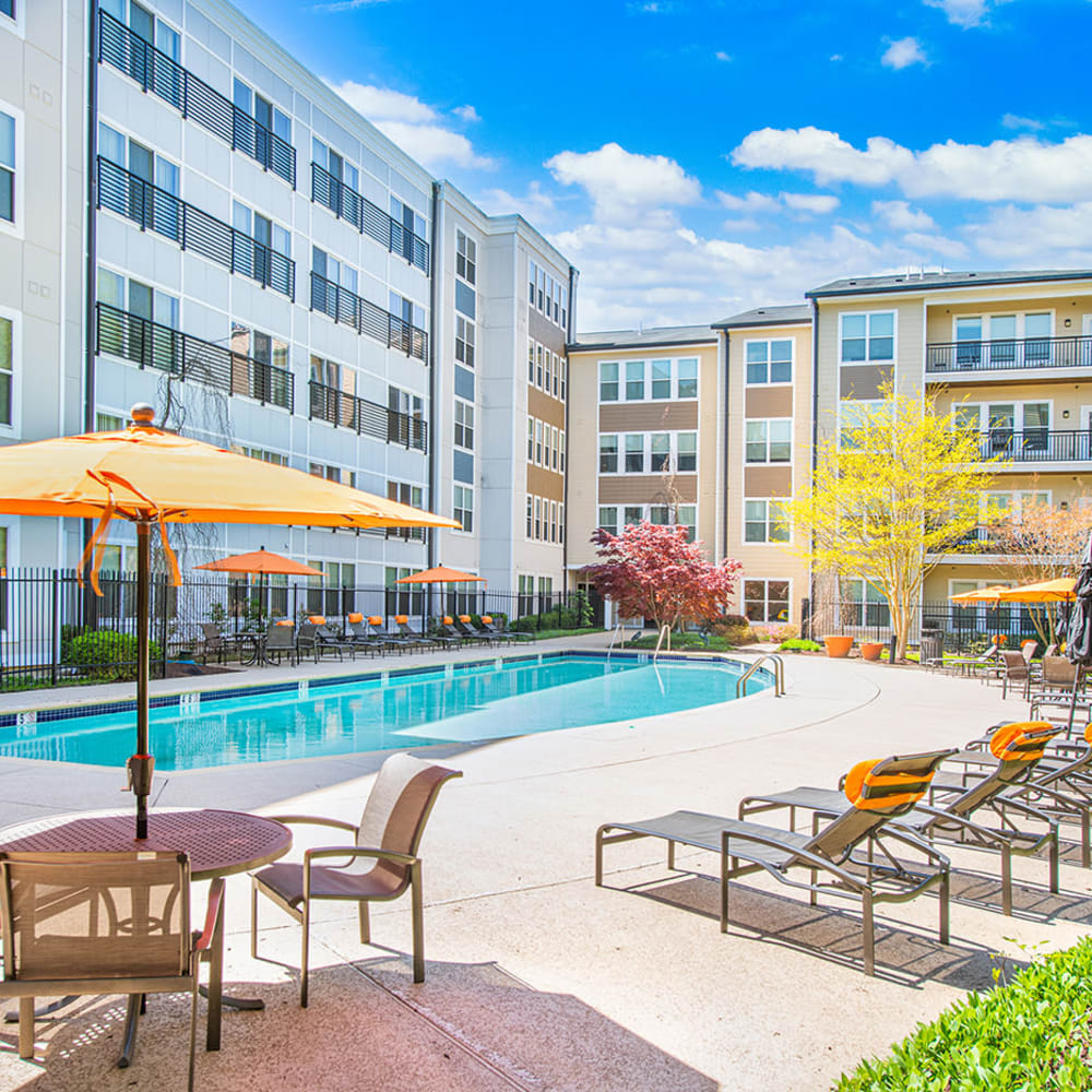The community swimming pool at Mode at Hyattsville in Hyattsville, Maryland