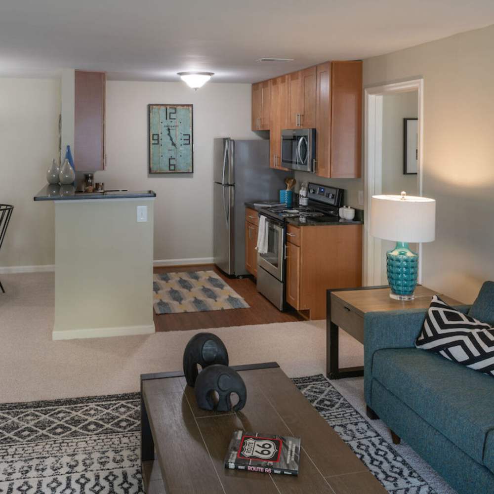 Spacious living room with couch, coffee table, carpet flooring at The Elms at Oakton in Fairfax, Virginia