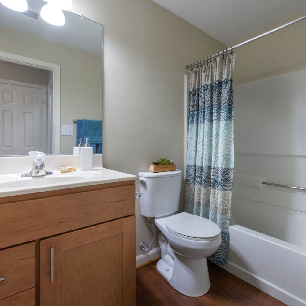 Bright bathroom with tub and vanity light at The Elms at Oakton in Fairfax, Virginia
