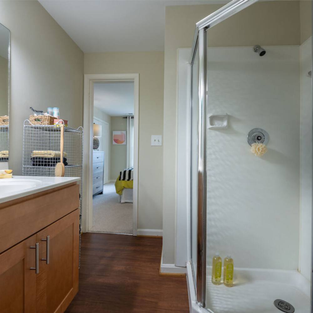 Bright bathroom with shower and vanity light at The Elms at Oakton in Fairfax, Virginia