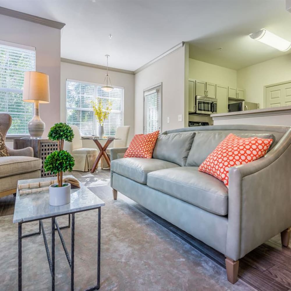 Couched and a coffee table in an apartment living room at Evergreens at Mahan in Tallahassee, Florida