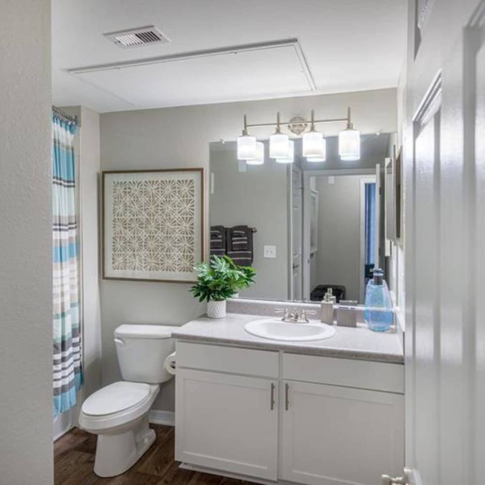 A well-lit bathroom with a sink and toilet in an apartment at Evergreens at Mahan in Tallahassee, Florida