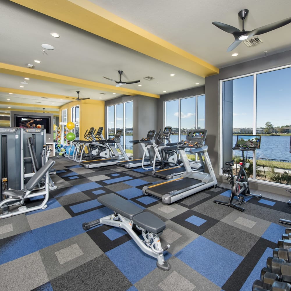 Modern exercise equipment in the fitness center at Ravella at Town Center in Jacksonville, Florida