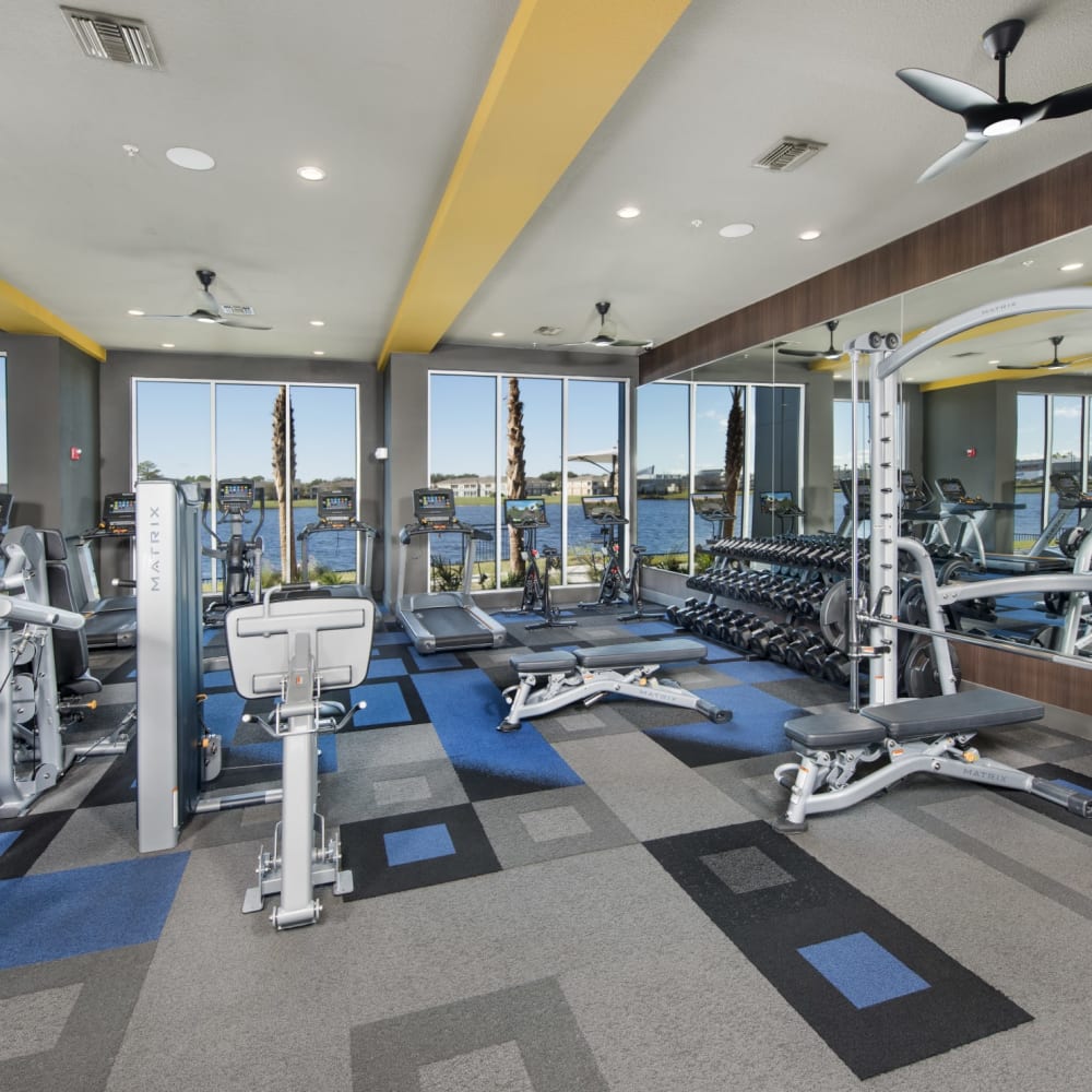 Exercise equipment in the fitness center at Ravella at Town Center in Jacksonville, Florida