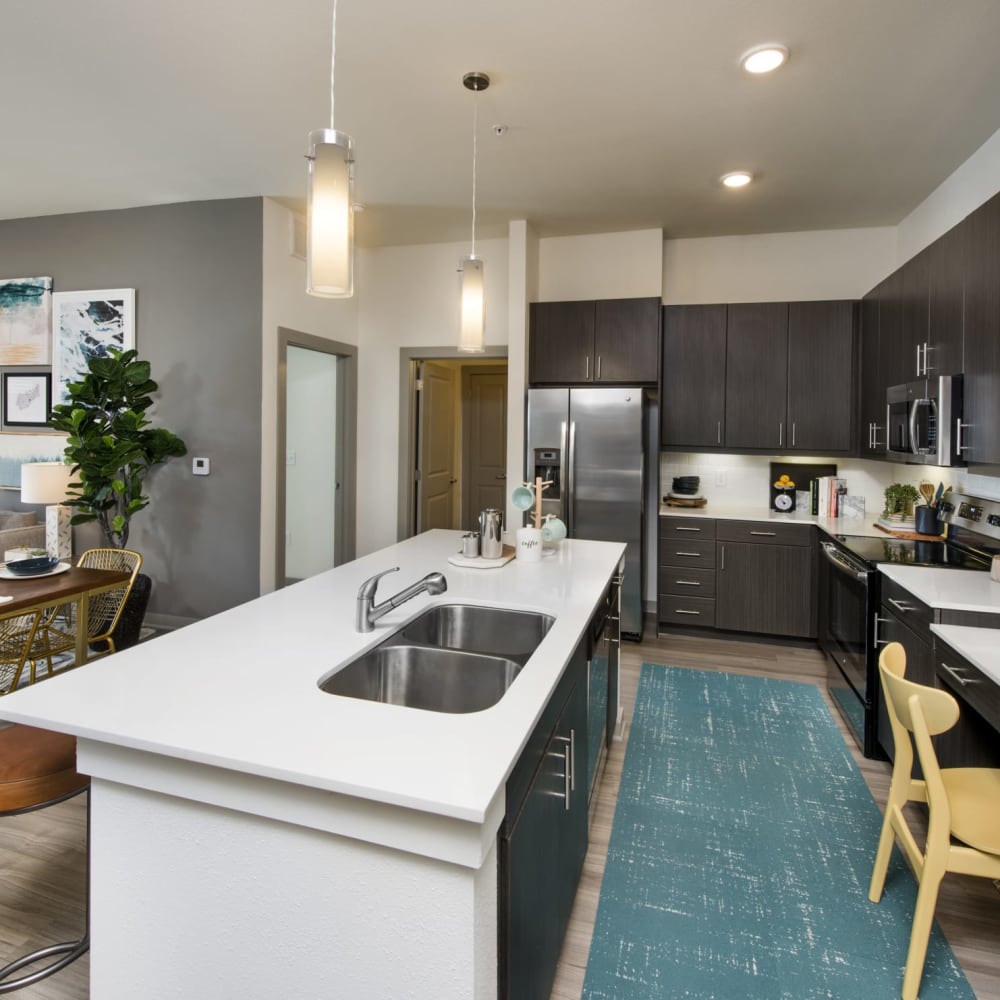 A sink and cabinets in a kitchen island and dark cabinets in the kitchen at Ravella at Town Center in Jacksonville, Florida