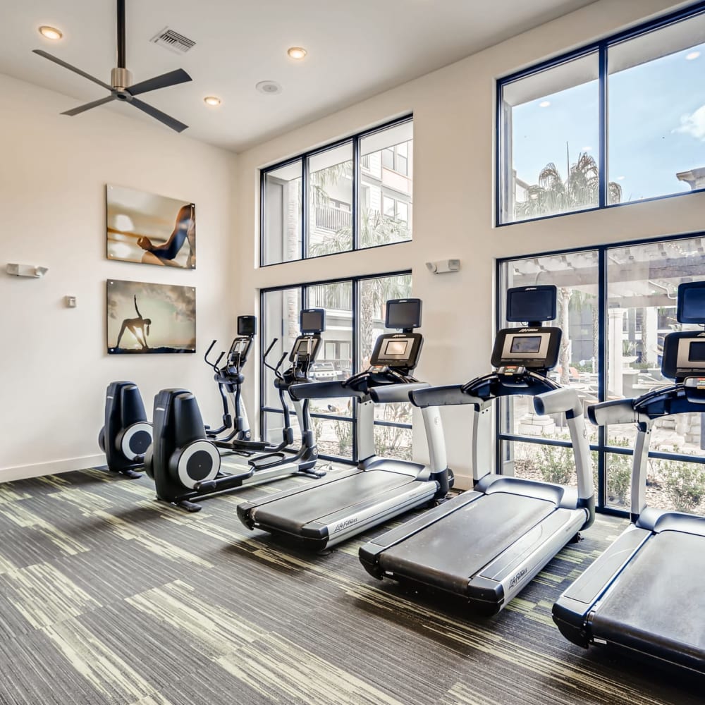 Treadmills facing windows in the fitness center at EOS in Orlando, Florida