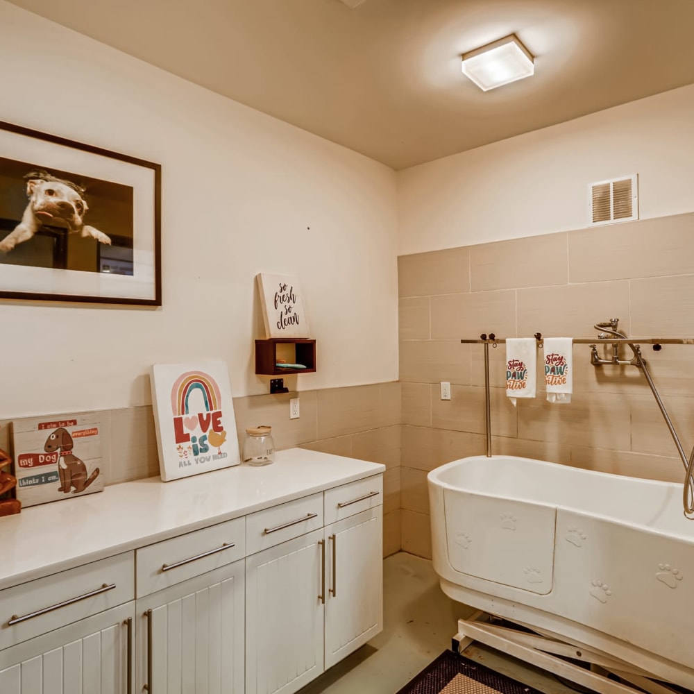 A large countertop next to a bathtub in the pet spa at EOS in Orlando, Florida