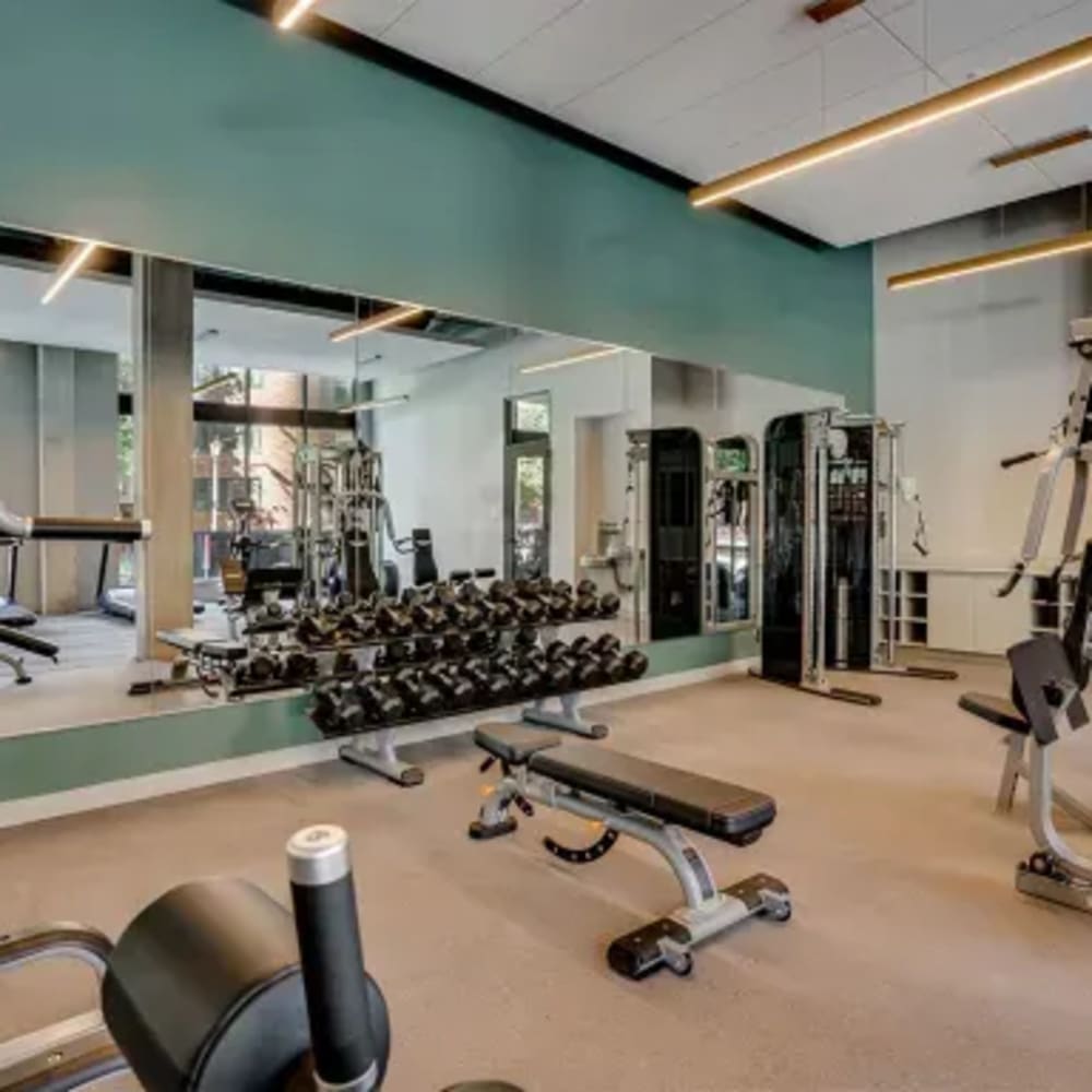 Fitness center with weights at Marquee Living in Minneapolis, Minnesota