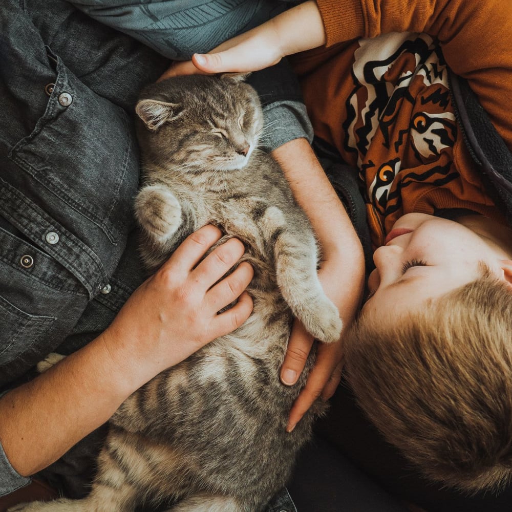 A family snuggles with their pet cat at Avemore Apartment Homes in Charlottesville, Virginia