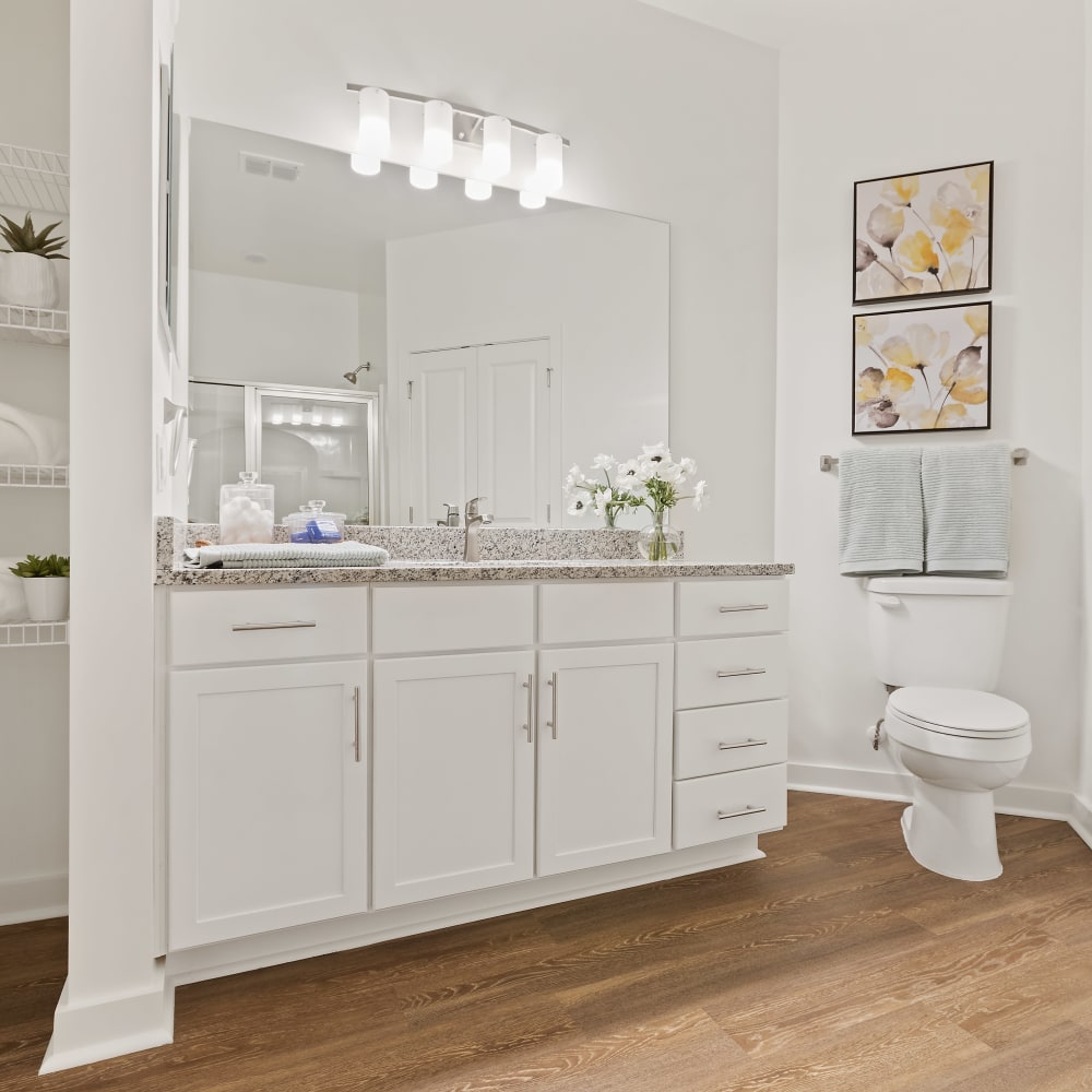 Large bathroom at Archer at Brookhill in Charlottesville, Virginia