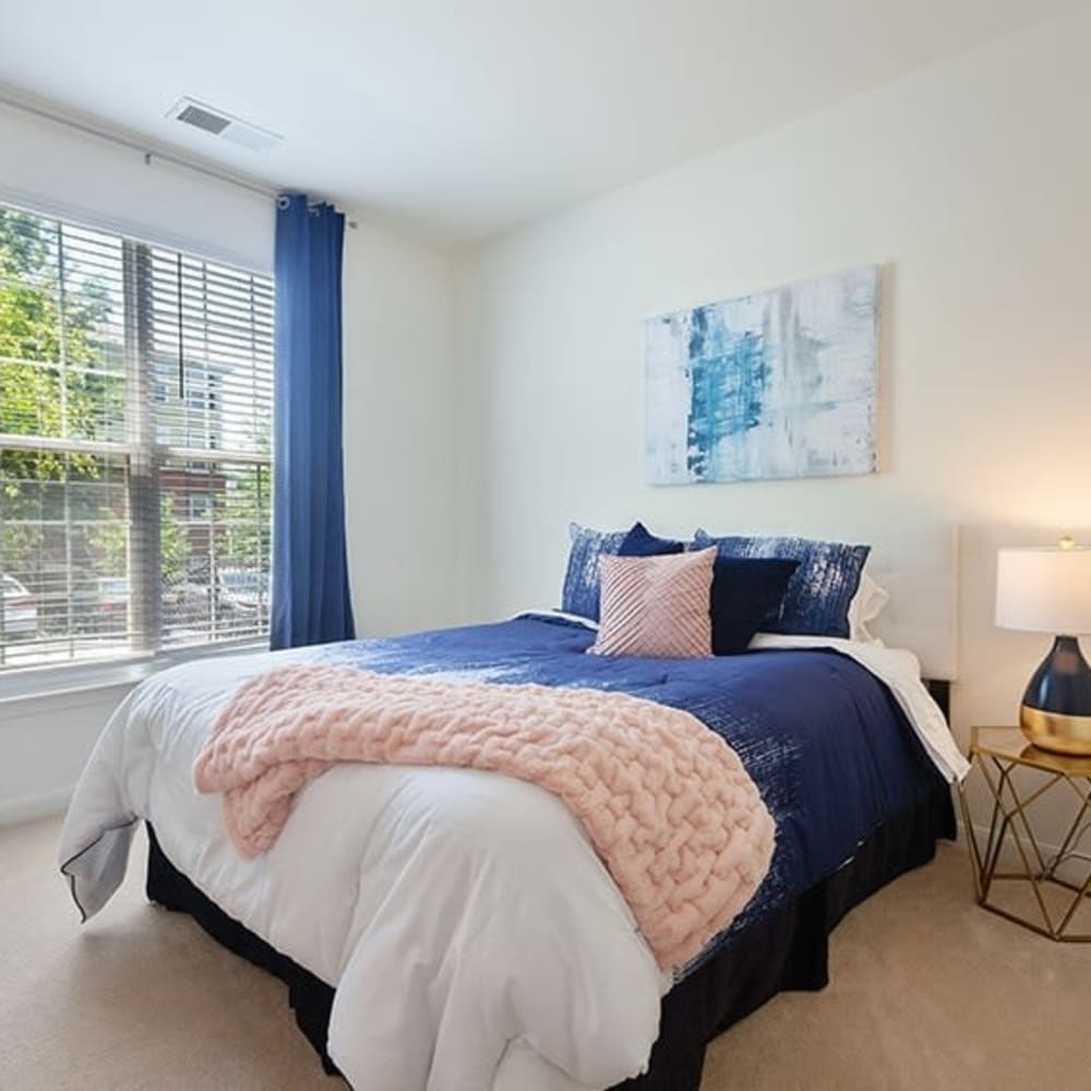 Bedroom with natural light at Avemore Apartment Homes, Charlottesville, Virginia