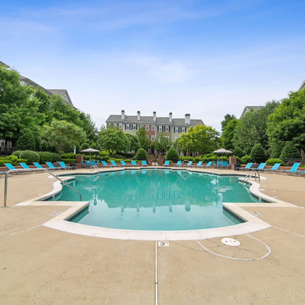 Resort-style pool at Avemore Apartment Homes, Charlottesville, Virginia