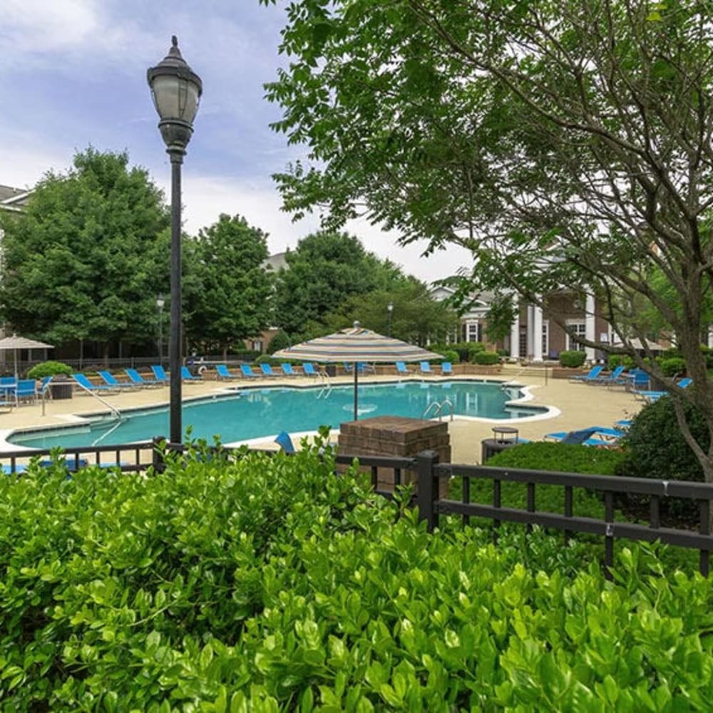 Garde-style pool at Avemore Apartment Homes, Charlottesville, Virginia