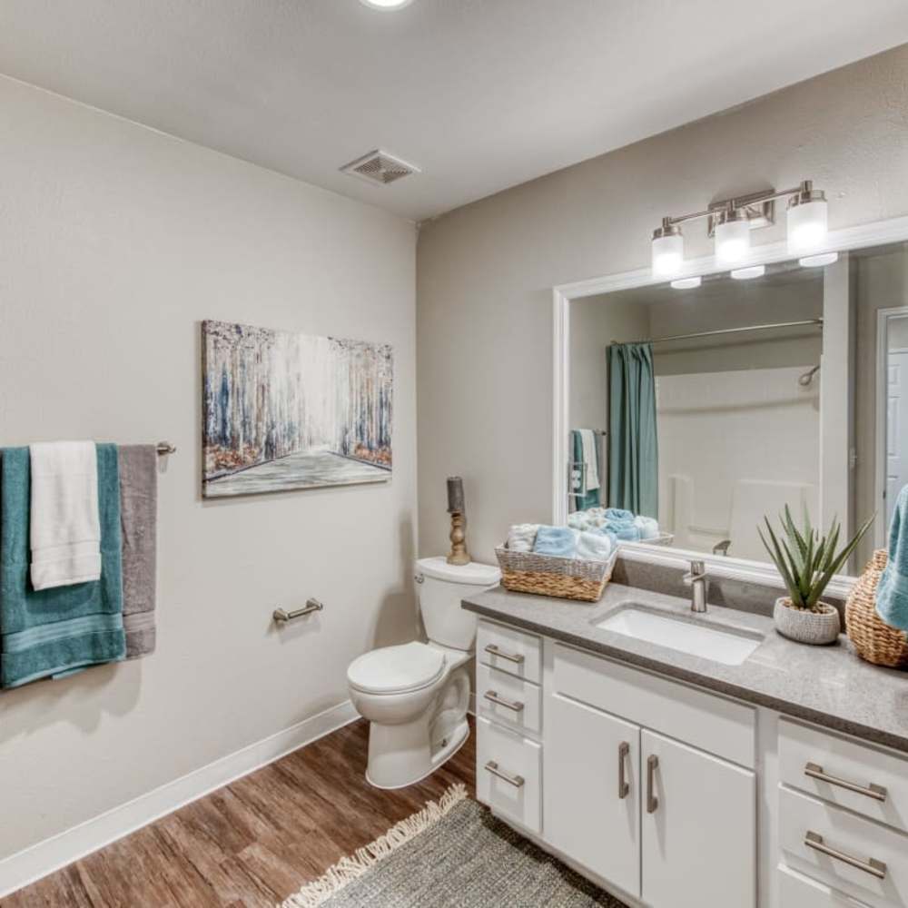 Bathroom vanity at Ascent Townhome Apartments in Fresno, California