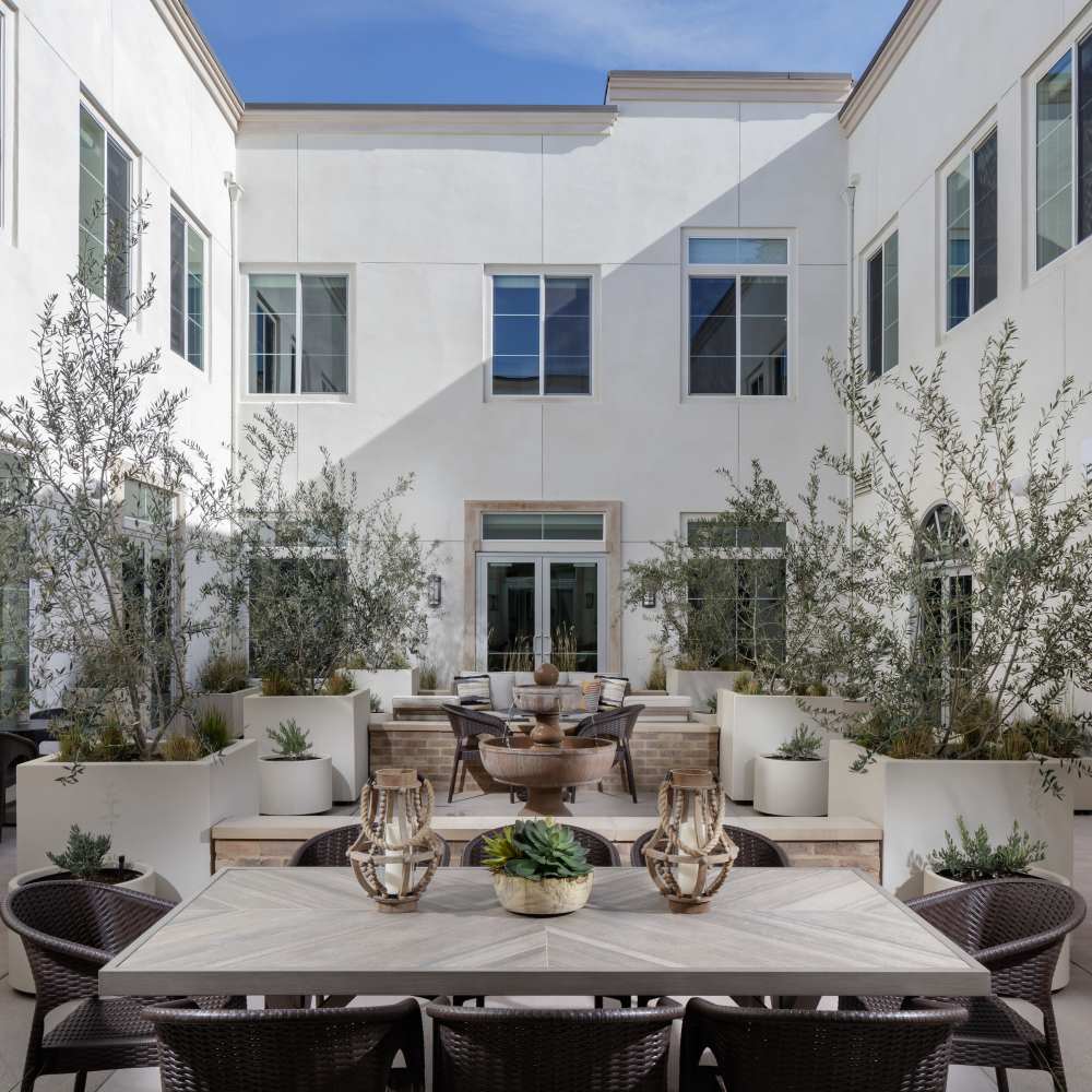 Exterior view with palm trees at Clearwater at Glendora in Glendora, California