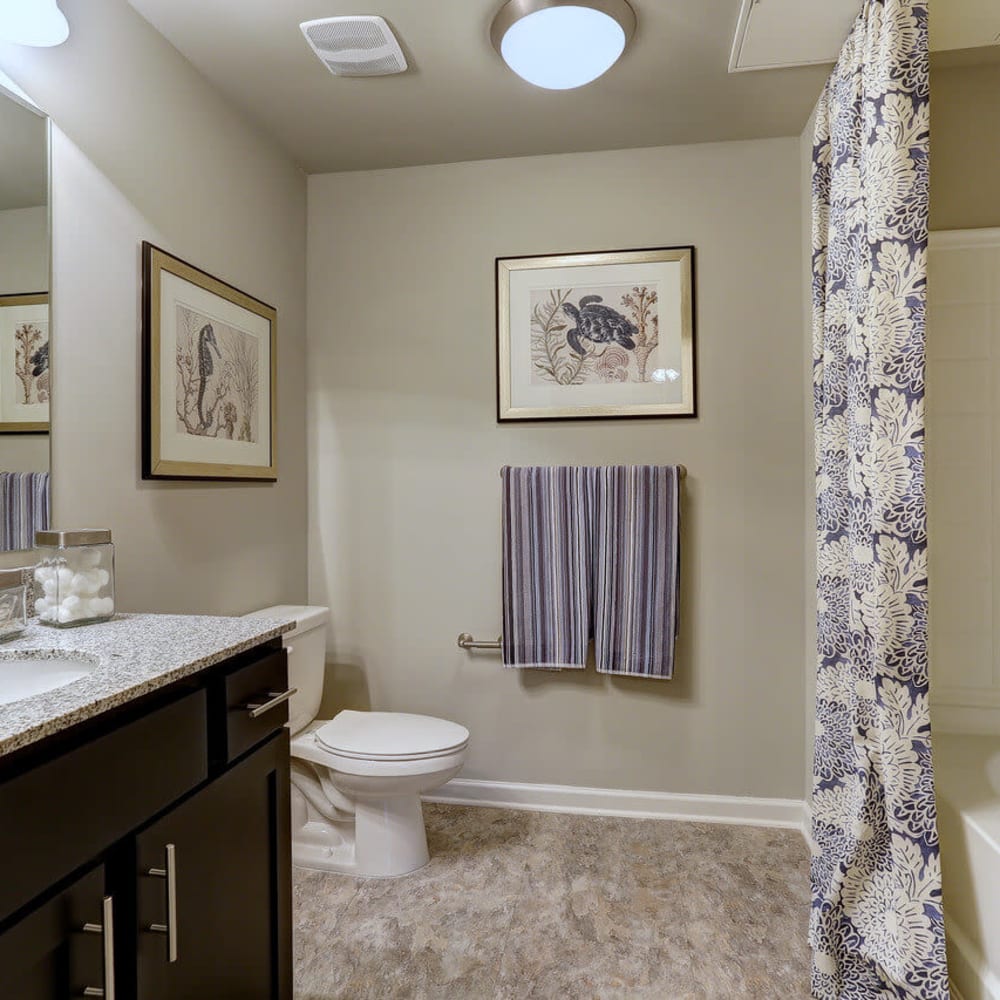 Bathroom with modern details at Deerfield at Providence in Mt. Juliet, Tennessee