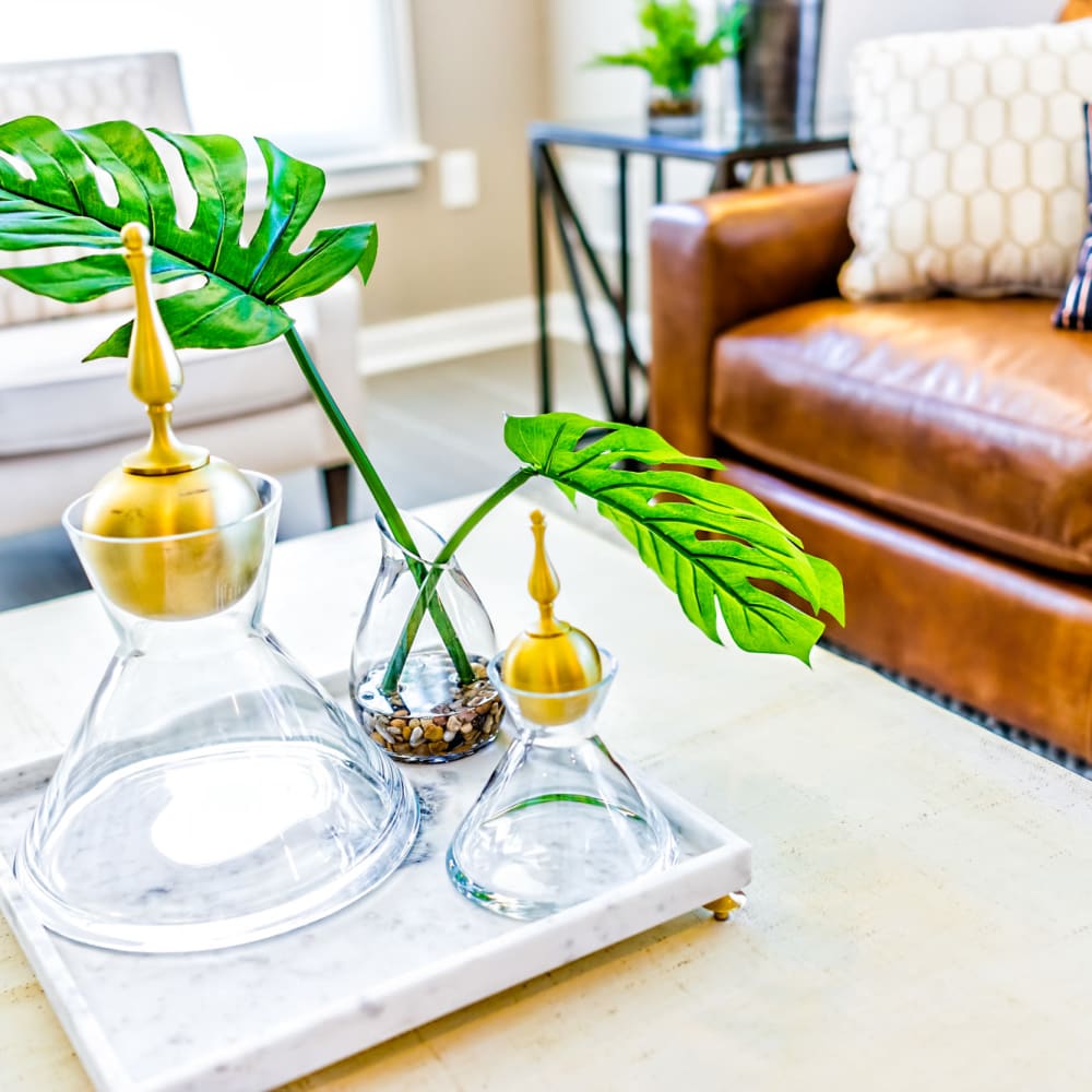 A fake plant on a coffee table in a model living room at The Lively Indigo Run in Ladson, South Carolina
