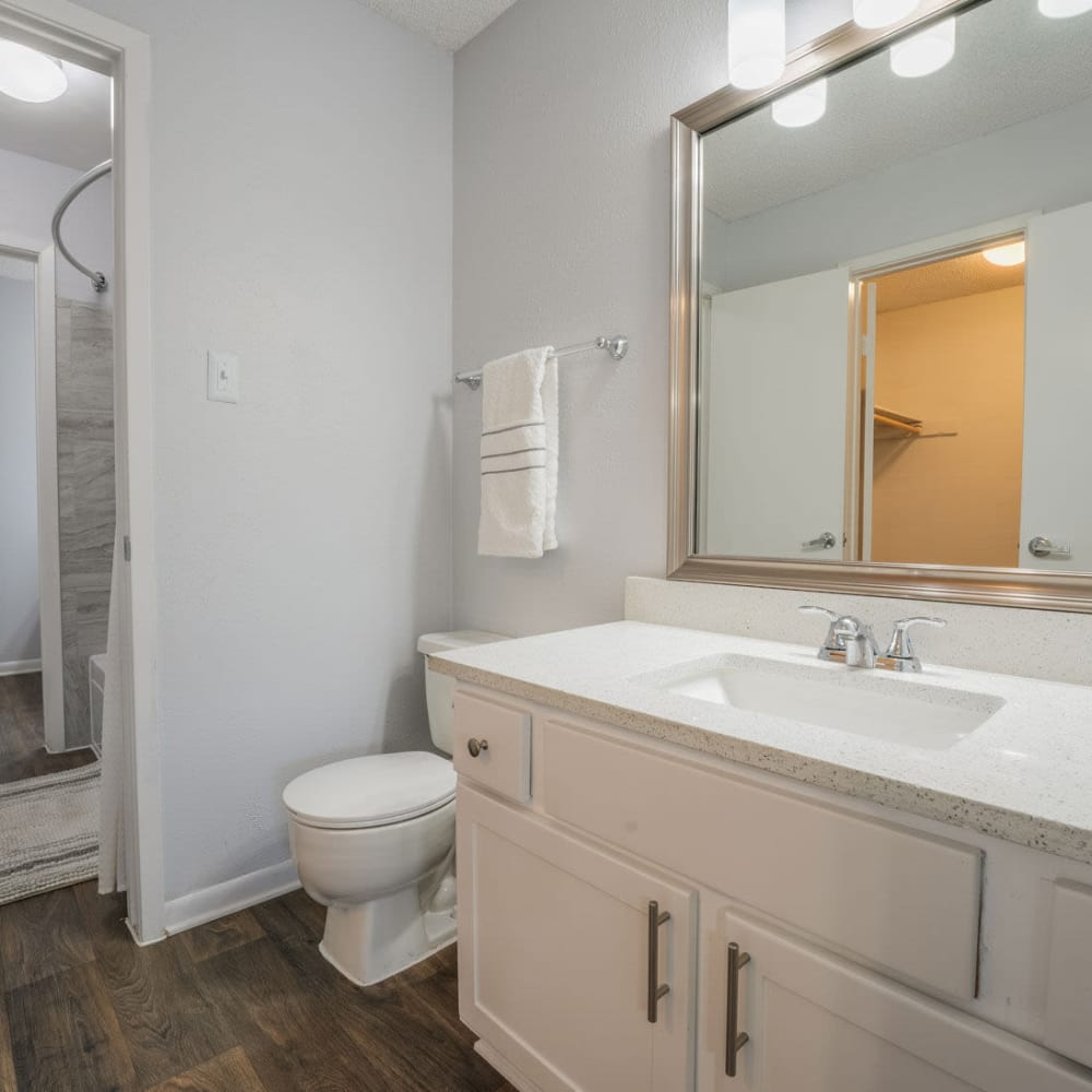 Large bathroom and ample counter space at Lakebridge Townhomes in Houston, Texas