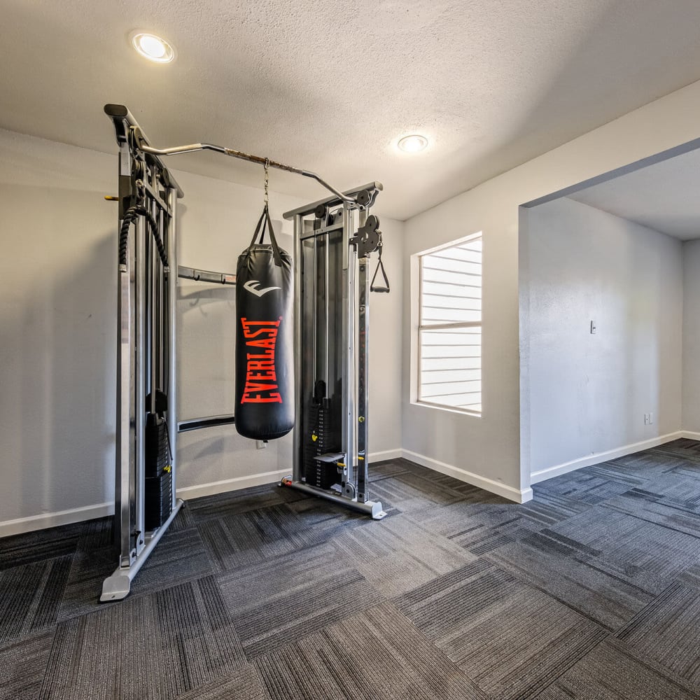 Fitness center with punching bag at The Domain at Ellington in Houston, Texas