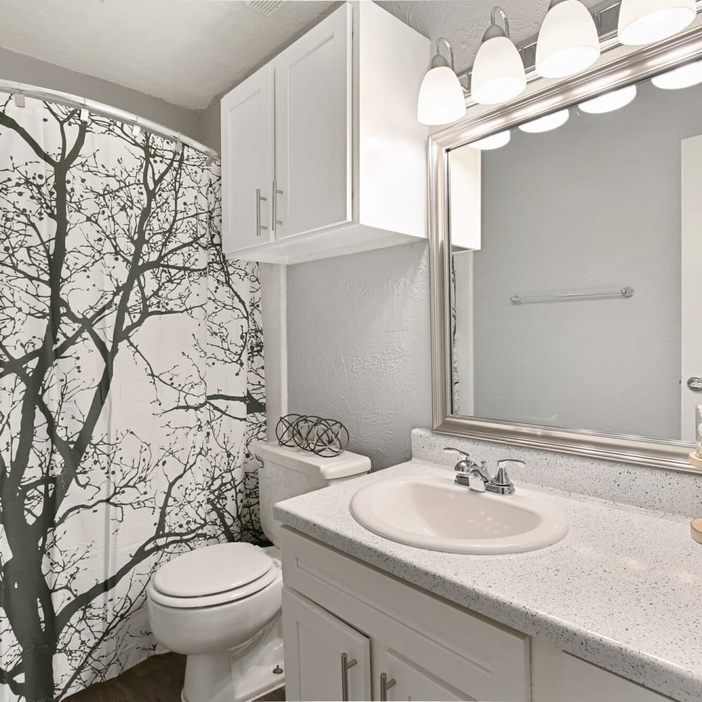 Resident bathroom with lots of counter space at The District on Collins in Arlington, Texas
