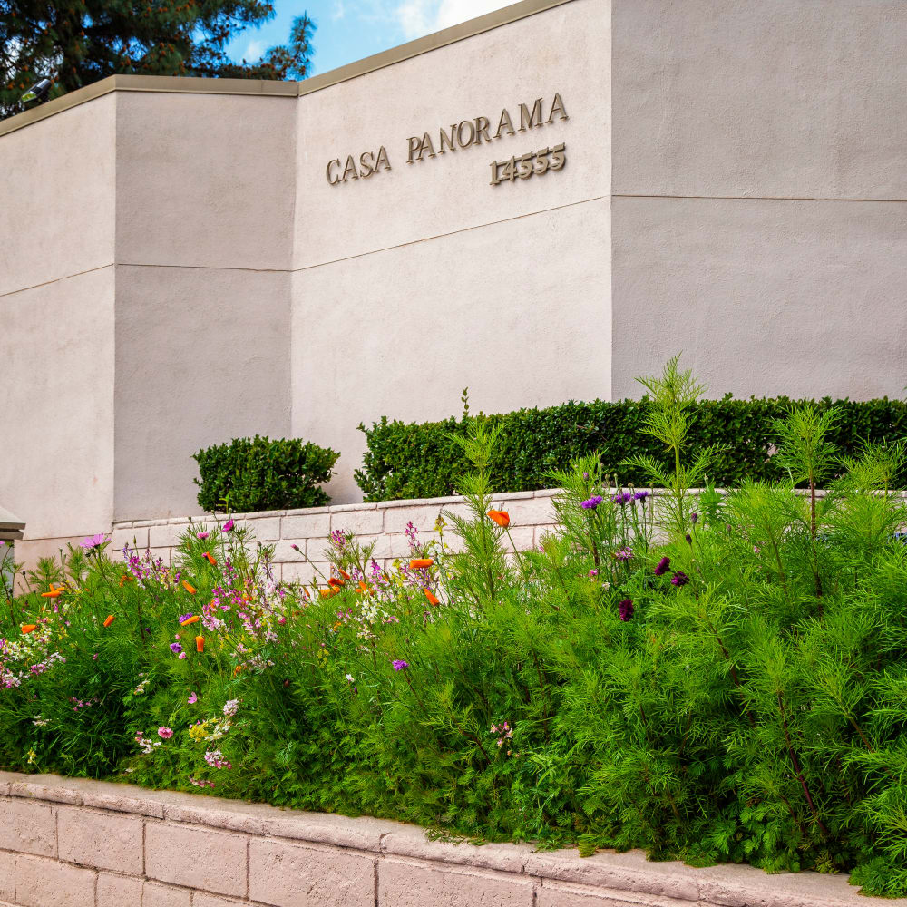 Front entrance at Casa Panorama in Panorama City, California
